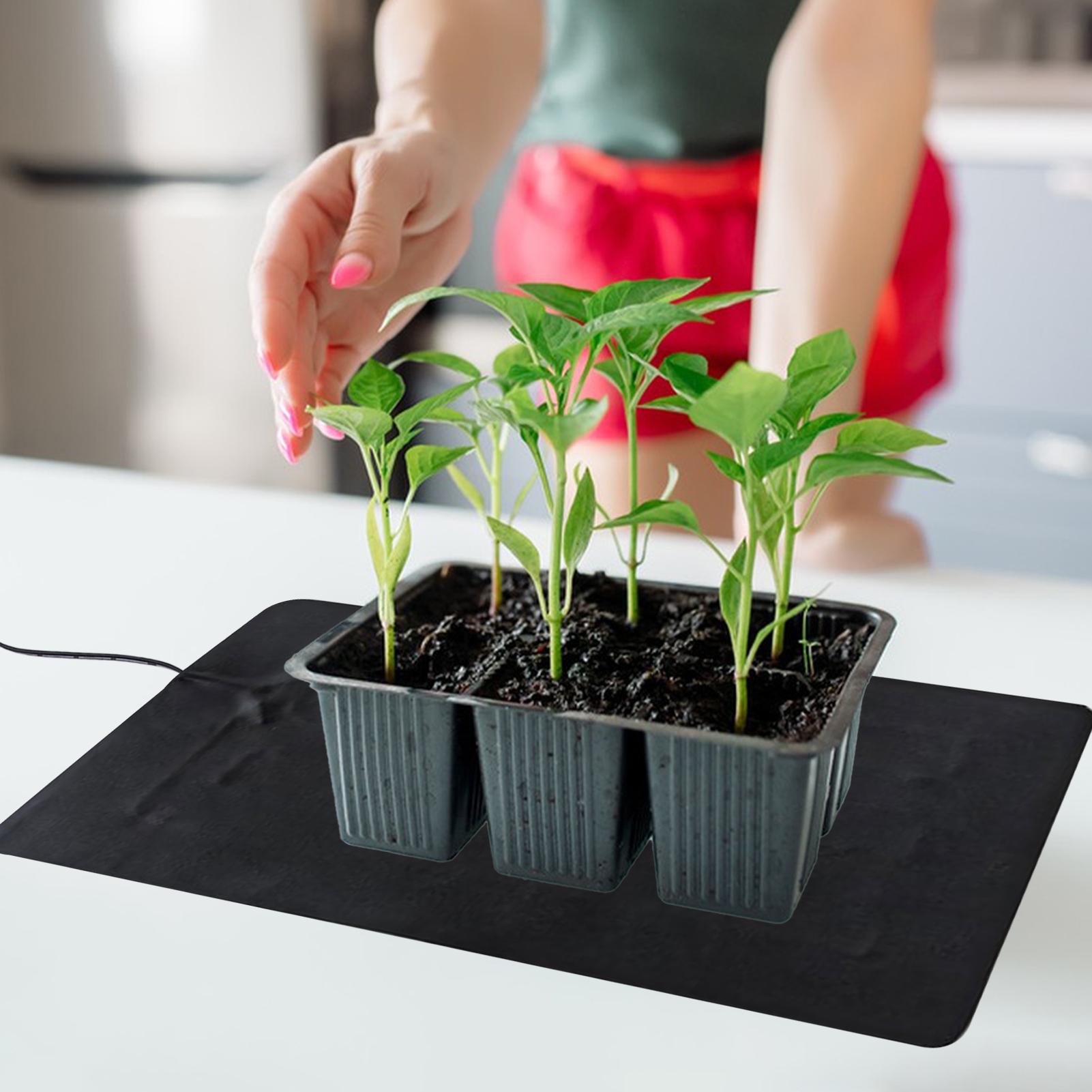 3 Temperature Adjustable Plant - Outdoor Rug Waterproof avaliação e preço